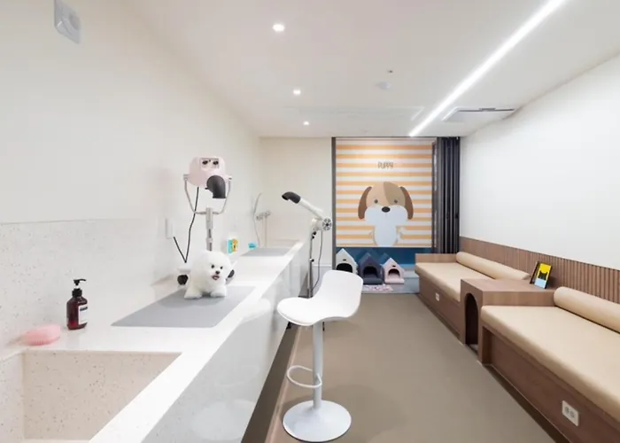 Archieve 4h 부산광역시