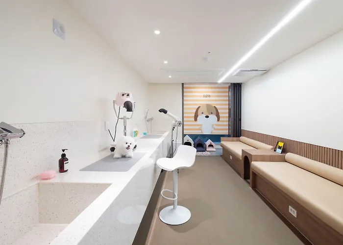Archieve 4h 3* Ciudad Metropolitana de Busan